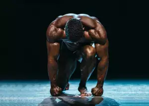 Lion Sport
