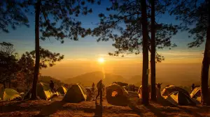 4Camping
