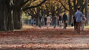 Park Mirakulum