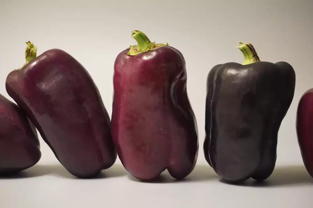 Squash